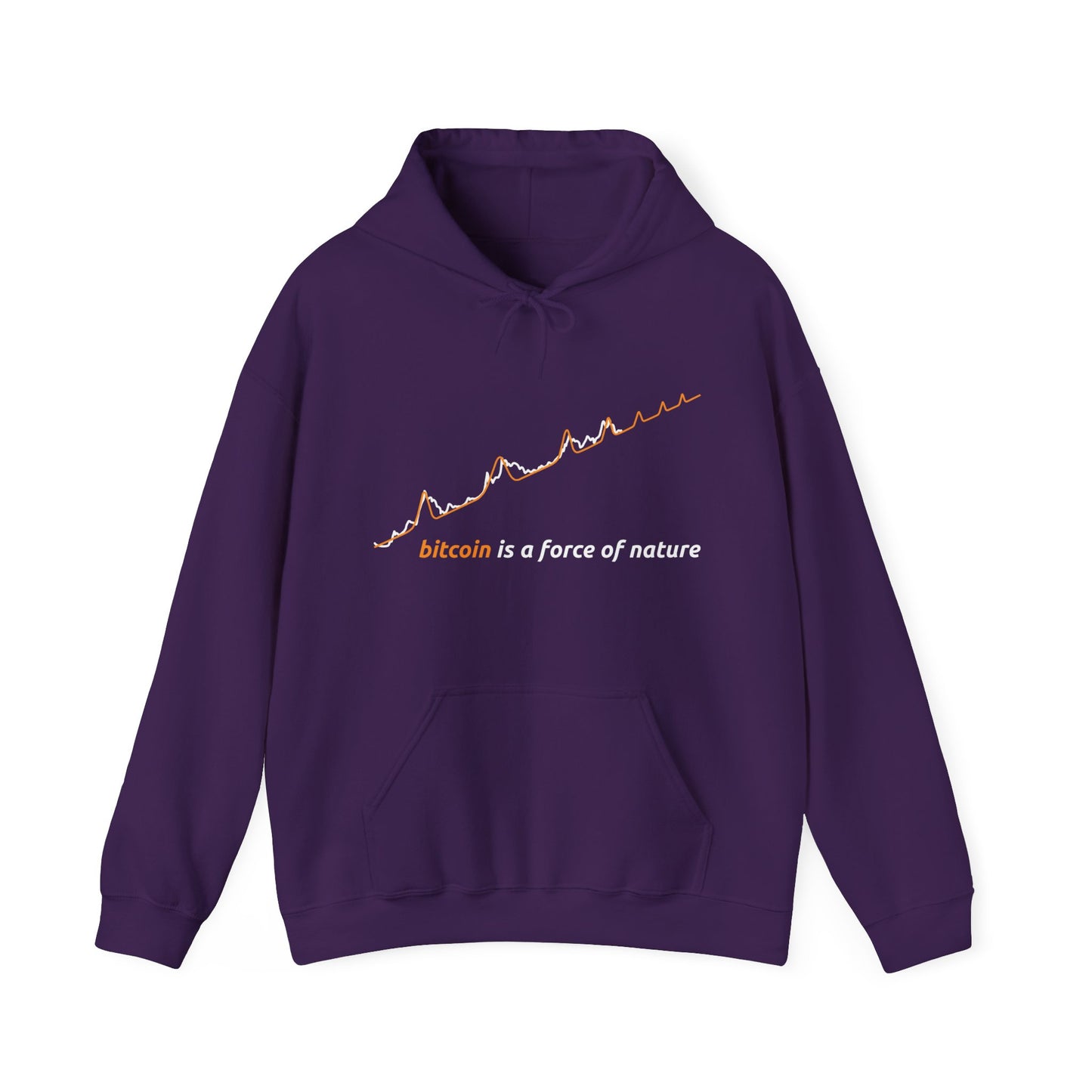 Orange BTC Power Law Log–Log Unisex Hoodie